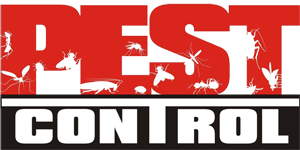 Pest Control Companies